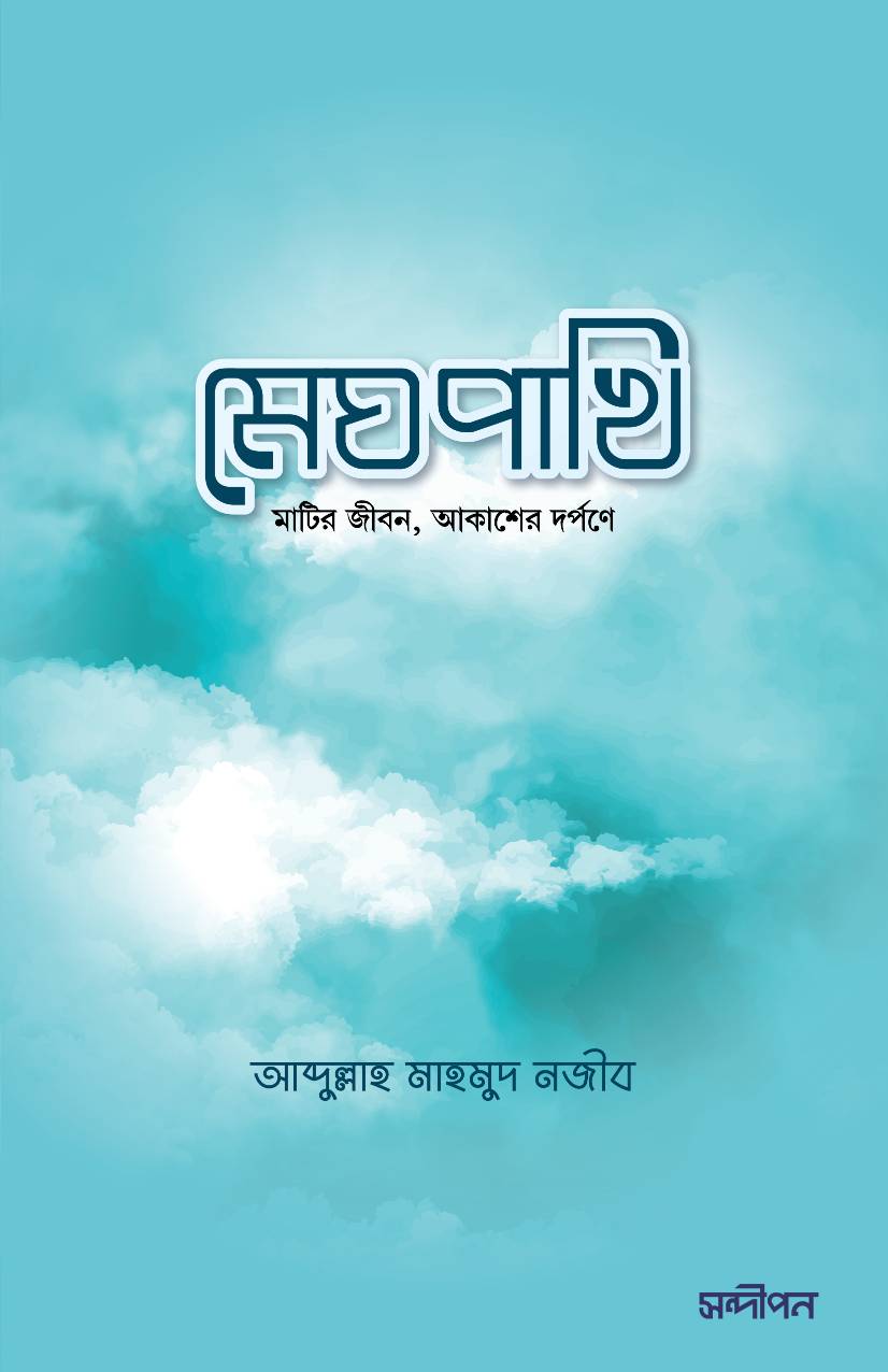 মেঘ পাখি