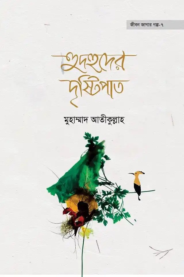 হুদহুদের দৃষ্টিপাত